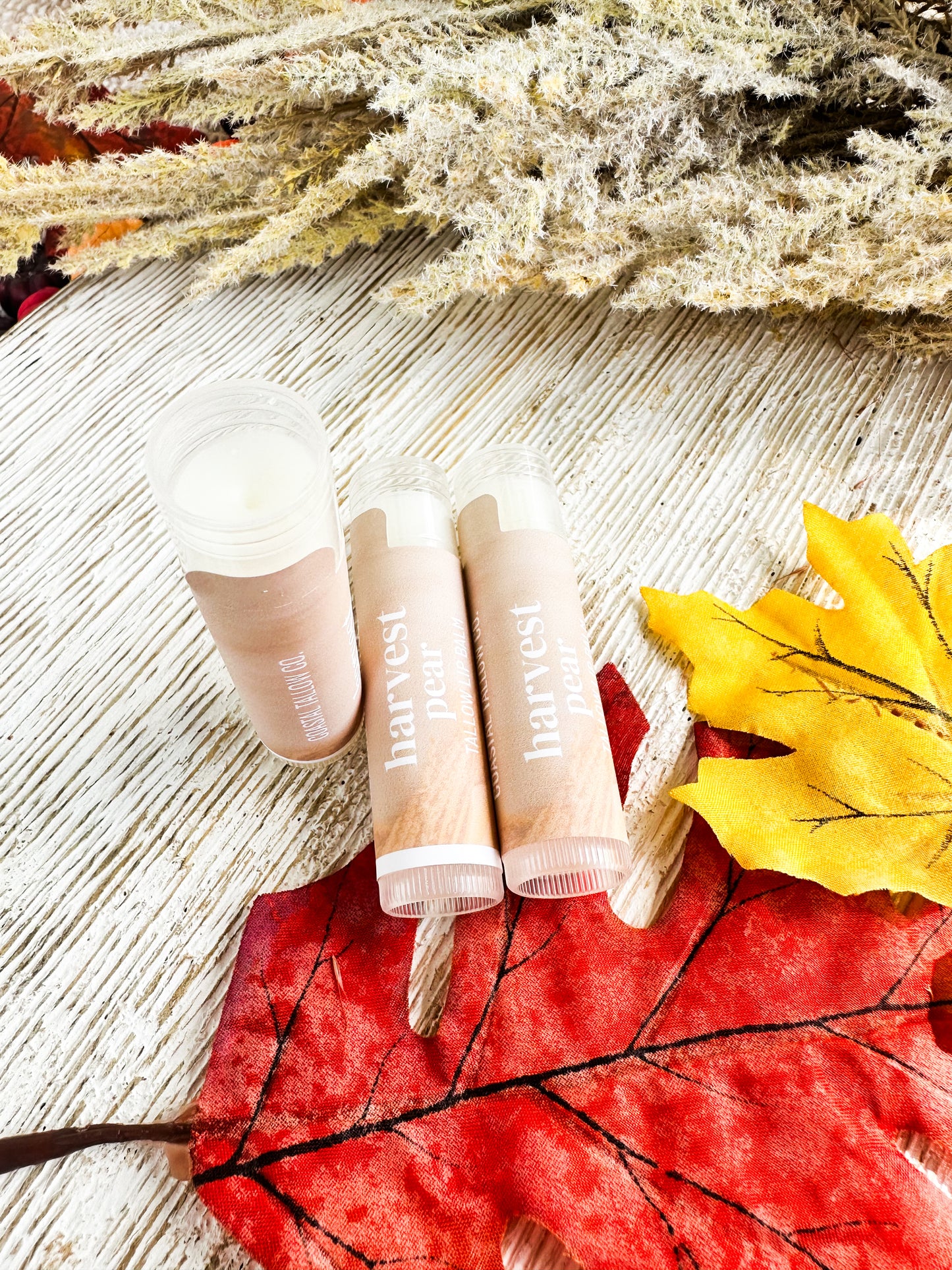 Limited Edition: Fall Tallow Lip Balms