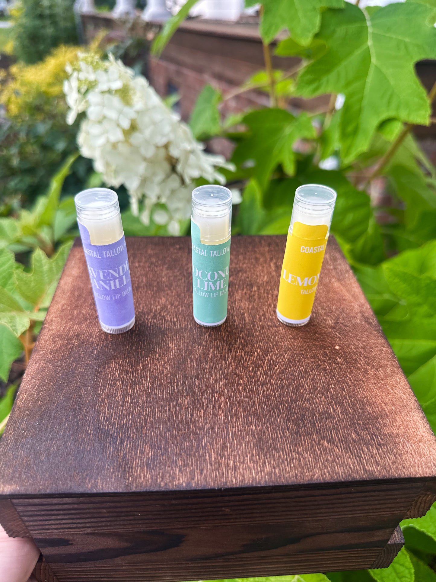 Tallow Lip Balms