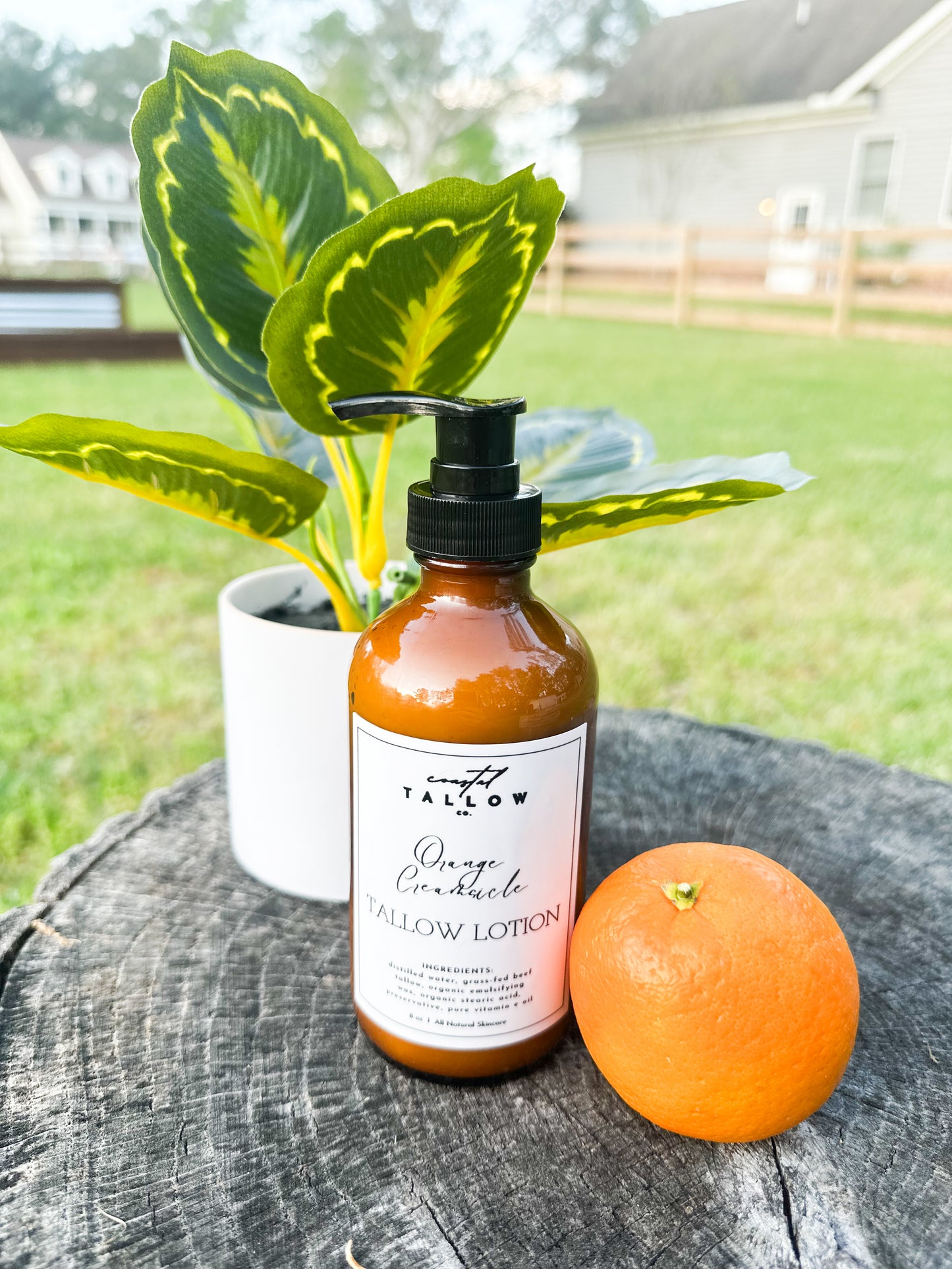 Tallow Lotion - Orange Creamsicle
