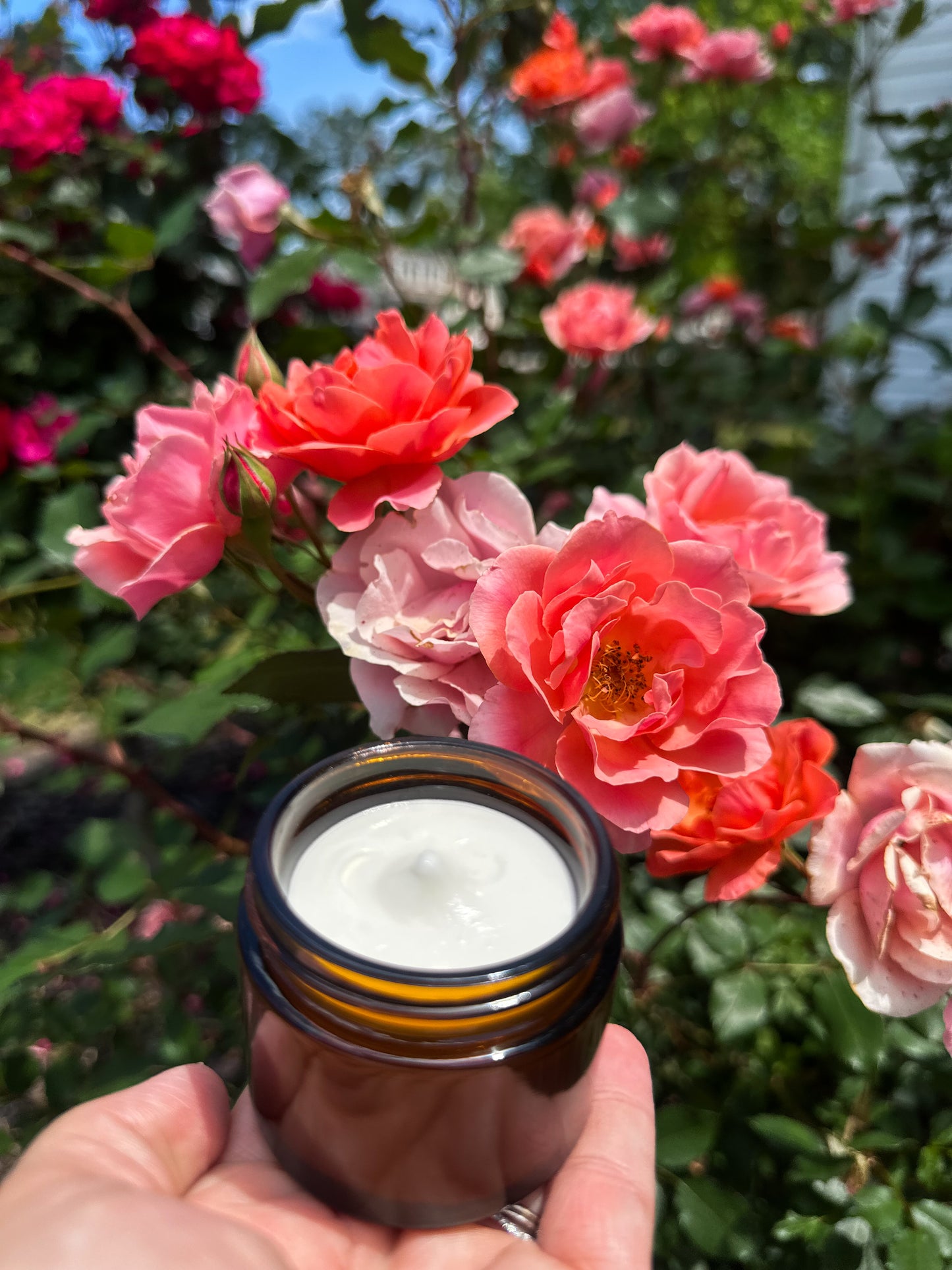 Unscented Whipped Tallow Cream