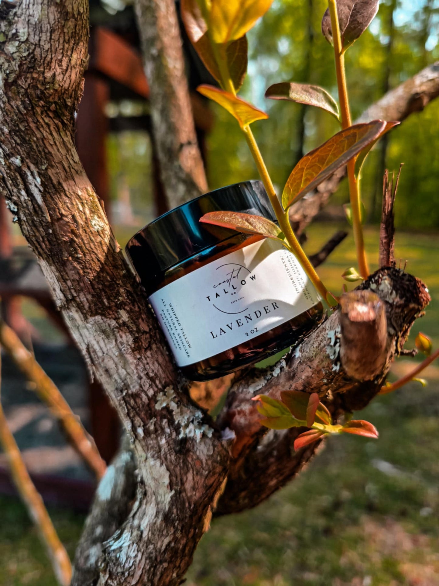 Lavender Whipped Tallow Cream