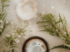 Frosted Glow Blue Tansy Whipped Tallow Cream