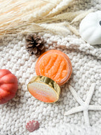Pumpkin Swirl Tallow Sugar Scrub