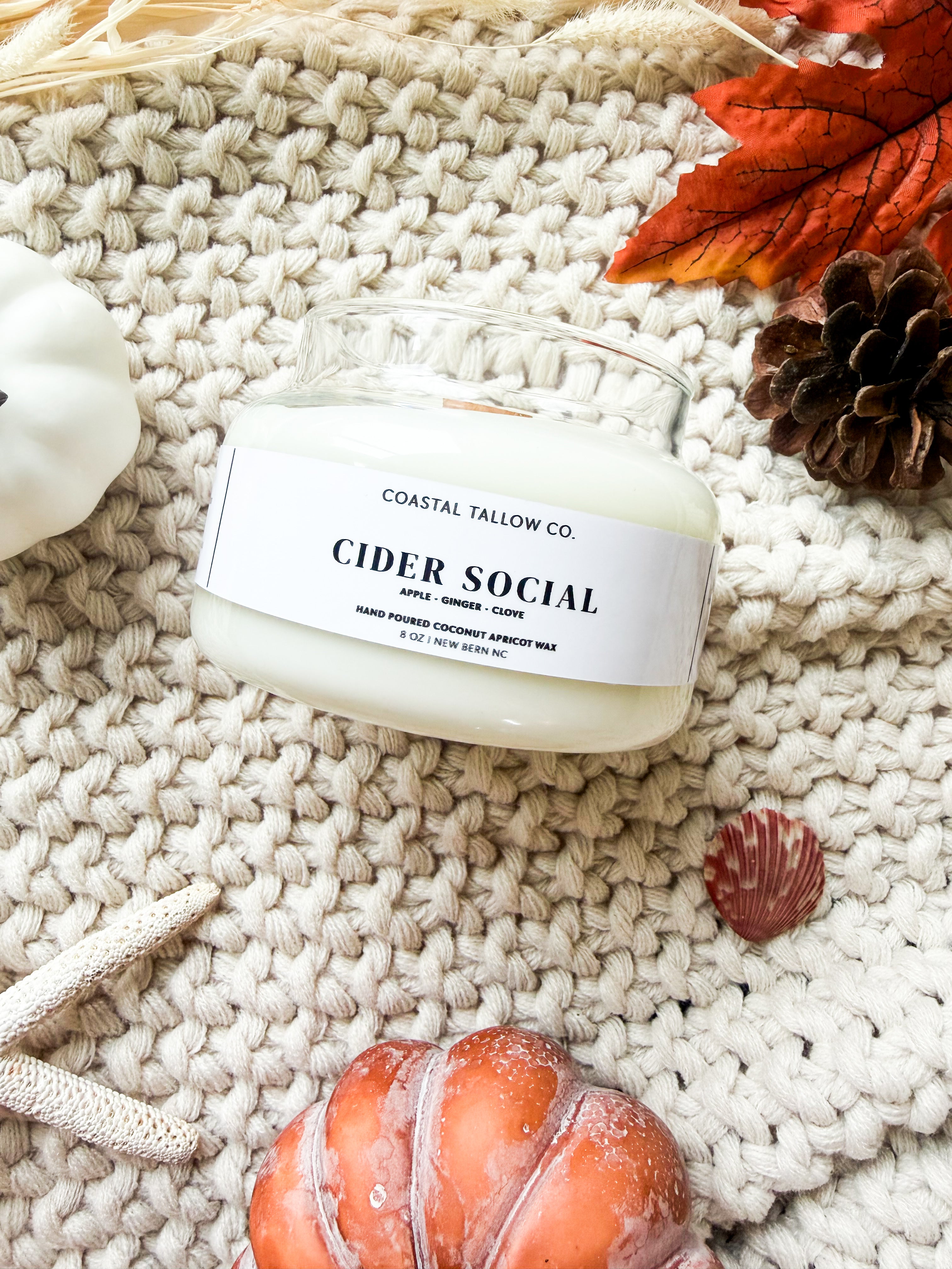 Cider Social I Coconut Apricot Wax Candle