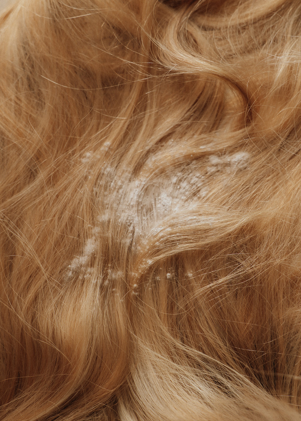 Root R.E.S.E.T Dry Shampoo Powder