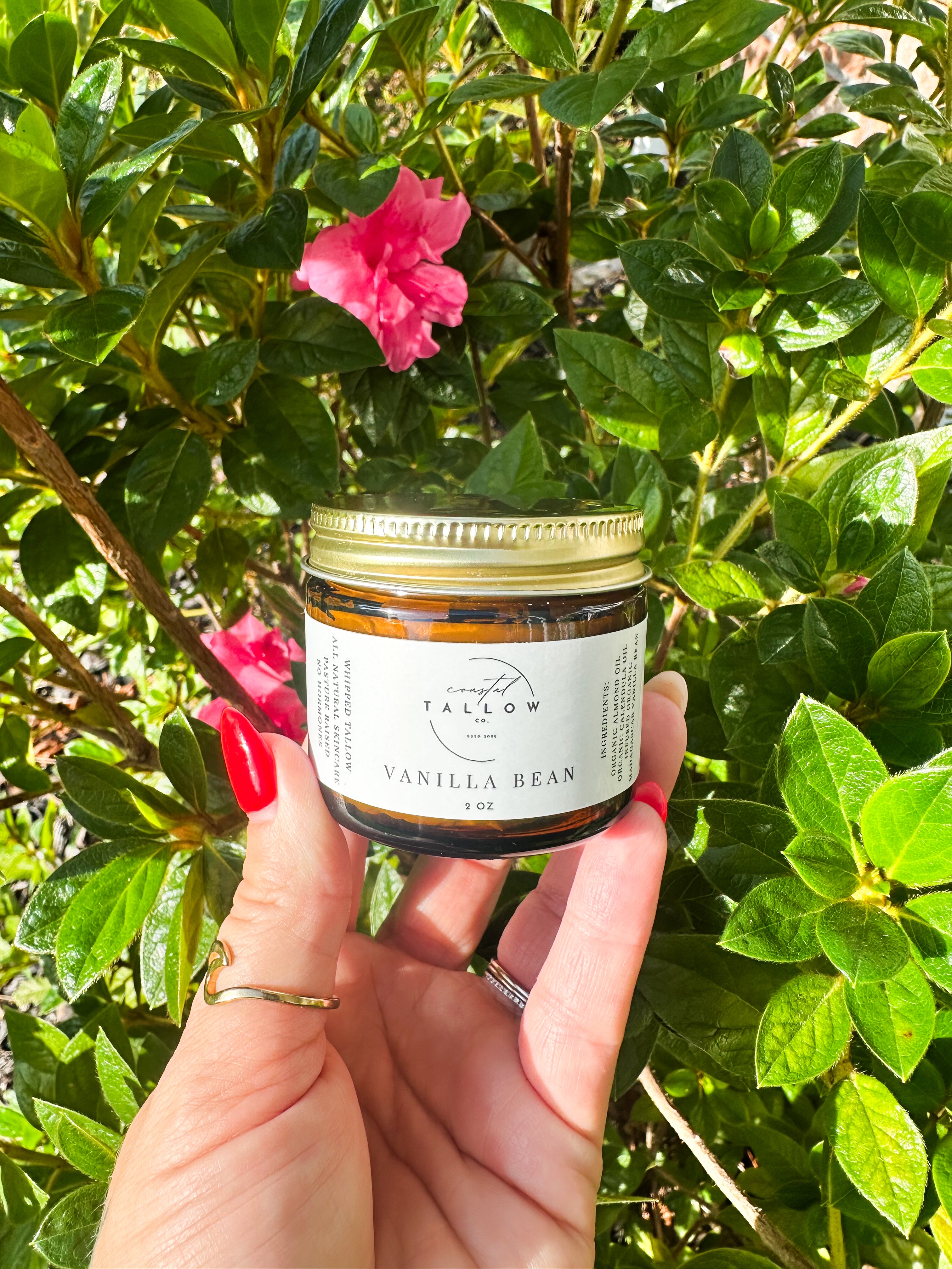 Infused Vanilla Bean Whipped Tallow Cream